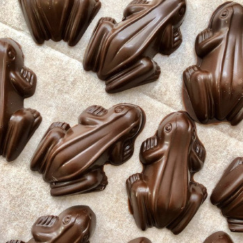 Handmade Chocolate Frogs
