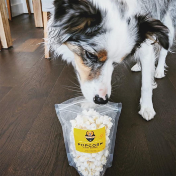 Darby's Dog Bakery & Deli Dog Popcorn