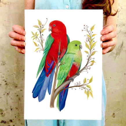 Zenti Designs King Parrots Print