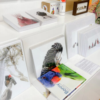 The Bird Photographer Market Stall Display