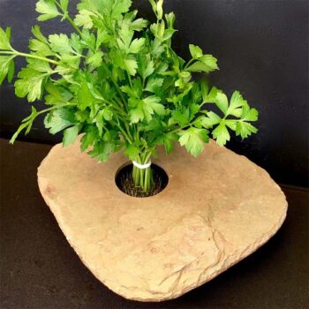 The Slate Vase with Herbs