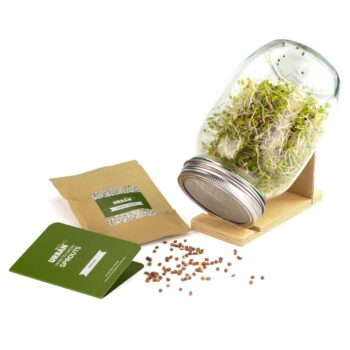 Urban Greens Co Grow Your Own Sprouts Kit