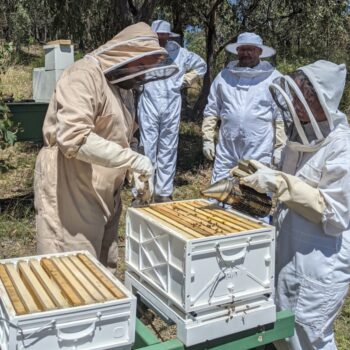 8 Frame Honey Beekeeping Course