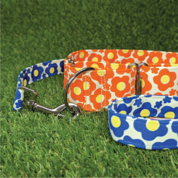 Comfy Tails Dog Lead and Collar