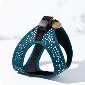 Howler Collection Step in Pet Harness