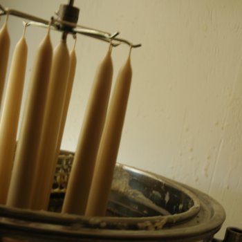 By her hand. Beeswax Candles