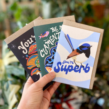 Outer Island Occasion Cards