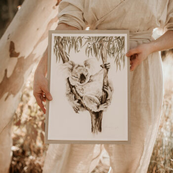 Shannon Dwyer Artist Koala Art Print