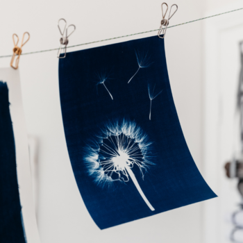 Blue Bower Art Studio Cyanotype Dandelion Art Print